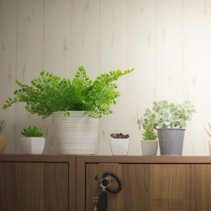 adbeautyABOUT画像02